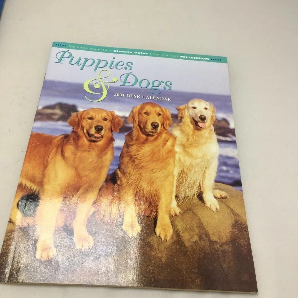 Puppies & Dogs My Dog My Hero 2001 Desk Calendar Story Books